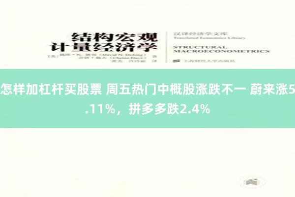 怎样加杠杆买股票 周五热门中概股涨跌不一 蔚来涨5.11%，拼多多跌2.4%