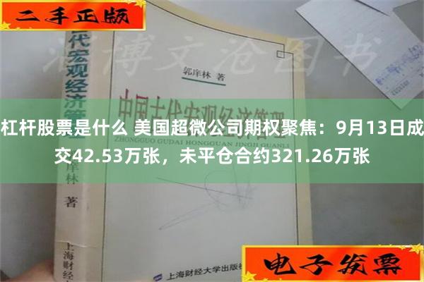 杠杆股票是什么 美国超微公司期权聚焦：9月13日成交42.53万张，未平仓合约321.26万张