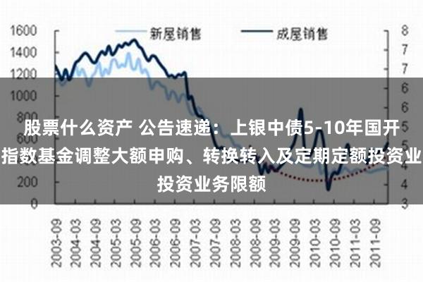 股票什么资产 公告速递：上银中债5-10年国开行债券指数基金调整大额申购、转换转入及定期定额投资业务限额