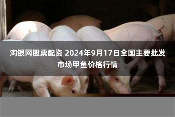 淘银网股票配资 2024年9月17日全国主要批发市场甲鱼价格行情