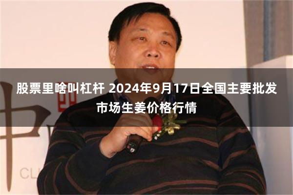 股票里啥叫杠杆 2024年9月17日全国主要批发市场生姜价格行情