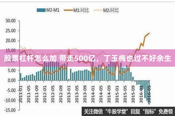 股票杠杆怎么加 带走500亿，丁玉梅也过不好余生