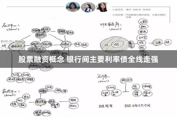 股票融资概念 银行间主要利率债全线走强