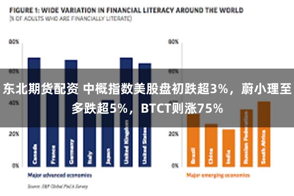 东北期货配资 中概指数美股盘初跌超3%，蔚小理至多跌超5%，BTCT则涨75%