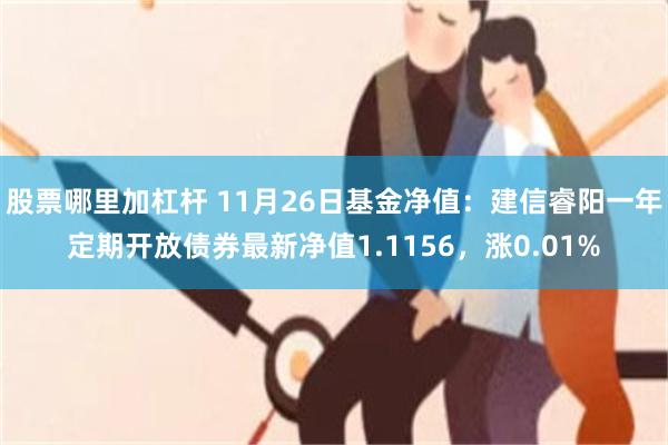 股票哪里加杠杆 11月26日基金净值：建信睿阳一年定期开放债券最新净值1.1156，涨0.01%