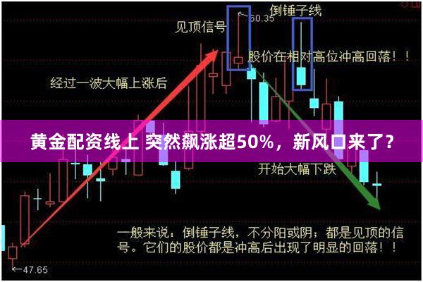 黄金配资线上 突然飙涨超50%，新风口来了？