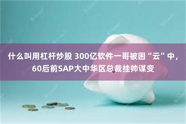 什么叫用杠杆炒股 300亿软件一哥被困“云”中，60后前SAP大中华区总裁挂帅谋变