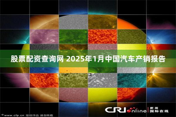 股票配资查询网 2025年1月中国汽车产销报告